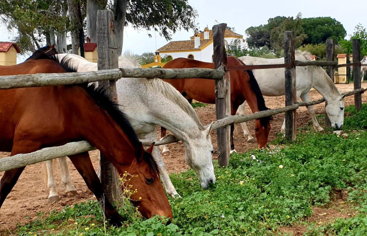 Posada Rural La Corbera Утрера Екстериор снимка