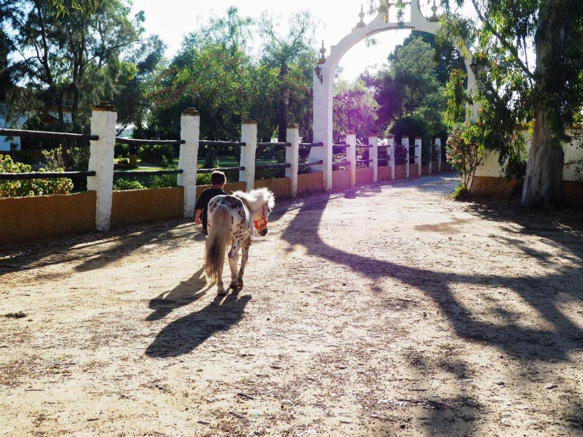 Posada Rural La Corbera Утрера Екстериор снимка