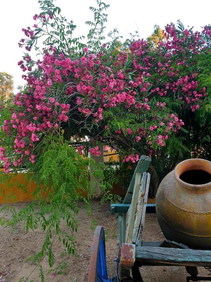 Posada Rural La Corbera Утрера Екстериор снимка